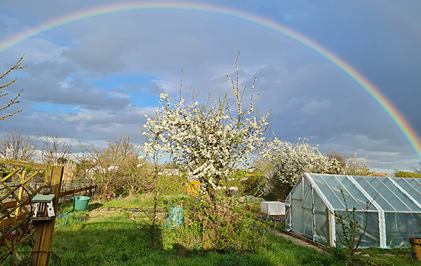 garten_1045