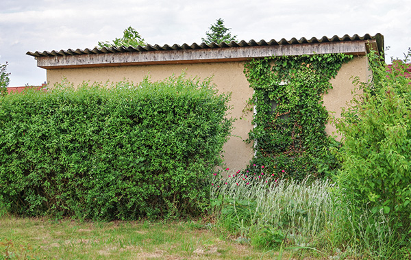 garten_174