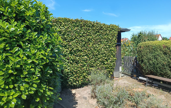garten_174