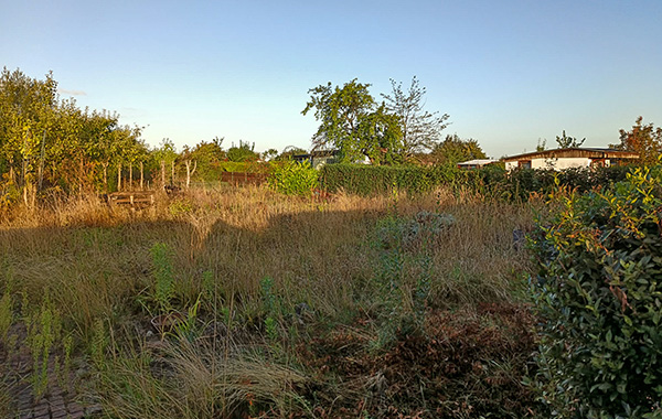 garten_43