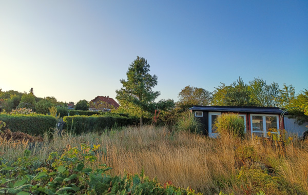 garten_43